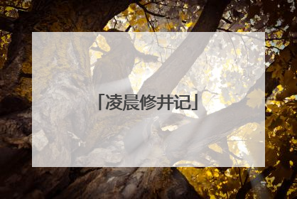 凌晨修井记