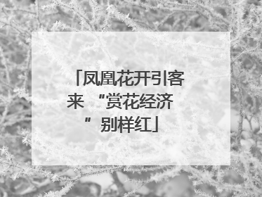 凤凰花开引客来 “赏花经济”别样红