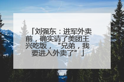 刘强东：进军外卖前，确实请了美团王兴吃饭，“兄弟，我要进入外卖了”