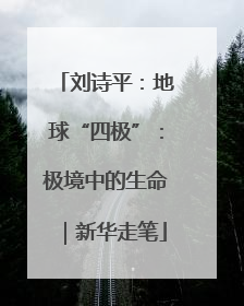 刘诗平：地球“四极”：极境中的生命｜新华走笔