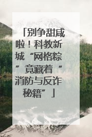别争甜咸啦！科教新城“网格粽”竟藏着“消防与反诈秘籍”