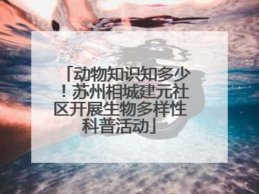动物知识知多少！苏州相城建元社区开展生物多样性科普活动