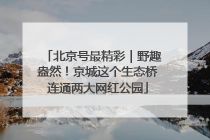北京号最精彩｜野趣盎然！京城这个生态桥连通两大网红公园