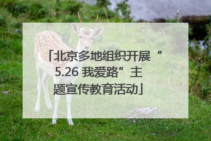 北京多地组织开展“5.26 我爱路”主题宣传教育活动