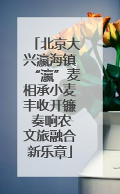 北京大兴瀛海镇“瀛”麦相承小麦丰收开镰 奏响农文旅融合新乐章