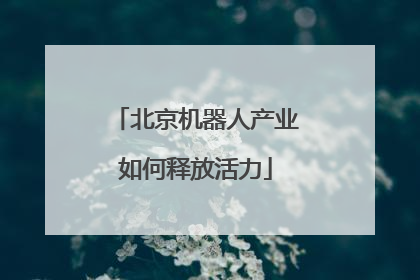 北京机器人产业如何释放活力
