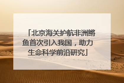 北京海关护航非洲鳉鱼首次引入我国，助力生命科学前沿研究