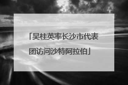吴桂英率长沙市代表团访问沙特阿拉伯