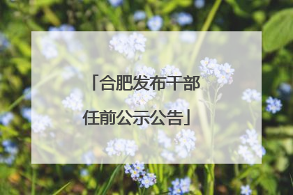 合肥发布干部任前公示公告