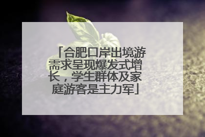 合肥口岸出境游需求呈现爆发式增长，学生群体及家庭游客是主力军