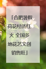 合肥暑假荷花经济红火 全国多地花艺文创销售旺