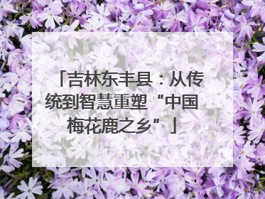 吉林东丰县：从传统到智慧重塑“中国梅花鹿之乡”