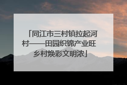 同江市三村镇拉起河村——田园织锦产业旺 乡村焕彩文明浓