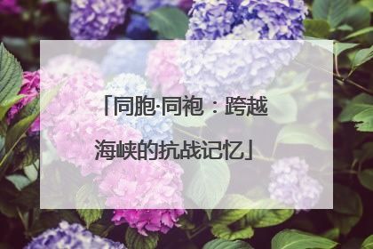 同胞·同袍：跨越海峡的抗战记忆