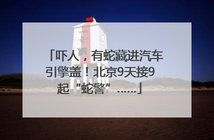 吓人，有蛇藏进汽车引擎盖！北京9天接9起“蛇警”……