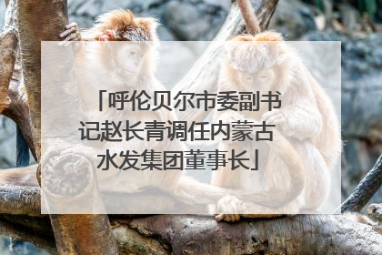 呼伦贝尔市委副书记赵长青调任内蒙古水发集团董事长