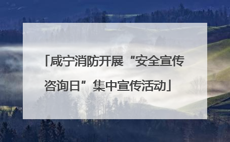 咸宁消防开展“安全宣传咨询日”集中宣传活动