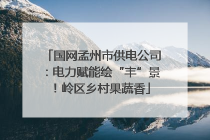 国网孟州市供电公司：电力赋能绘“丰”景！岭区乡村果蔬香