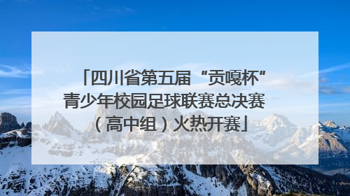 四川省第五届“贡嘎杯”青少年校园足球联赛总决赛（高中组）火热开赛
