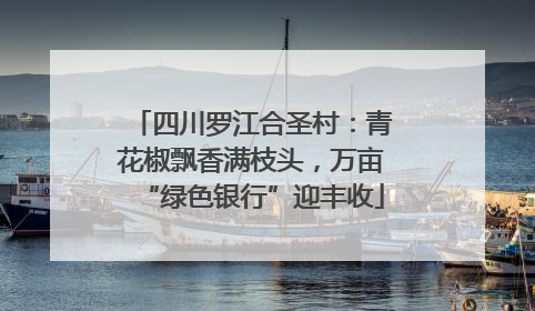 四川罗江合圣村：青花椒飘香满枝头，万亩“绿色银行”迎丰收