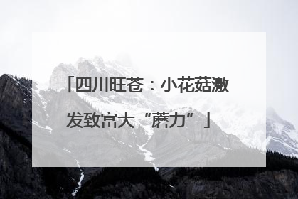 四川旺苍：小花菇激发致富大“蘑力”