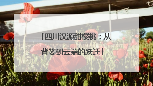 四川汉源甜樱桃：从背篓到云端的跃迁
