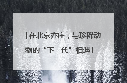 在北京亦庄，与珍稀动物的“下一代”相遇