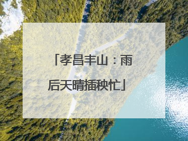 孝昌丰山：雨后天晴插秧忙