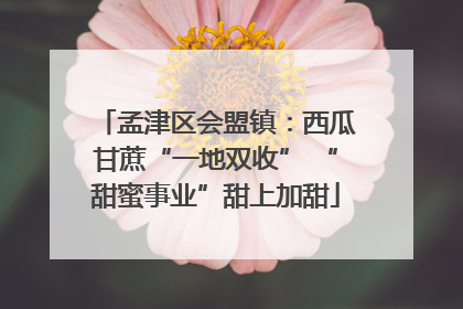 孟津区会盟镇：西瓜甘蔗“一地双收” “甜蜜事业”甜上加甜