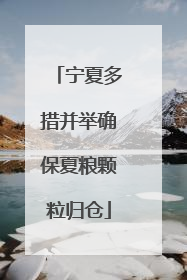宁夏多措并举确保夏粮颗粒归仓