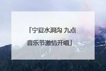 宁夏水洞沟 九点音乐节激情开唱
