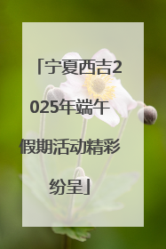 宁夏西吉2025年端午假期活动精彩纷呈