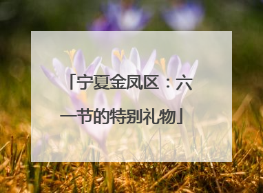 宁夏金凤区：六一节的特别礼物