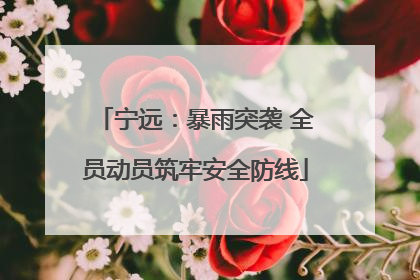 宁远：暴雨突袭 全员动员筑牢安全防线