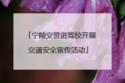 宁陵交警进驾校开展交通安全宣传活动