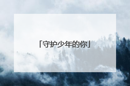 守护少年的你
