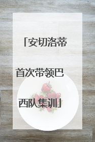 安切洛蒂首次带领巴西队集训