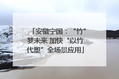 安徽宁国：“竹”梦未来 加快“以竹代塑”全场景应用