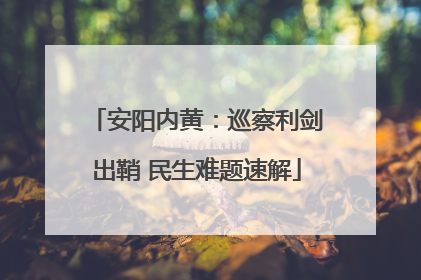 安阳内黄：巡察利剑出鞘 民生难题速解