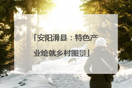 安阳滑县：特色产业绘就乡村图景
