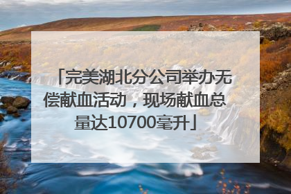 完美湖北分公司举办无偿献血活动，现场献血总量达10700毫升