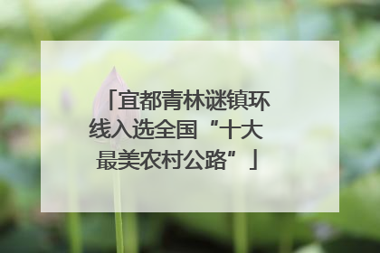 宜都青林谜镇环线入选全国“十大最美农村公路”