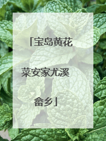 宝岛黄花菜安家尤溪畲乡
