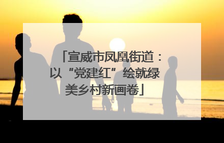 宣威市凤凰街道：以“党建红”绘就绿美乡村新画卷