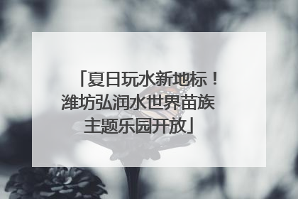 夏日玩水新地标！潍坊弘润水世界苗族主题乐园开放