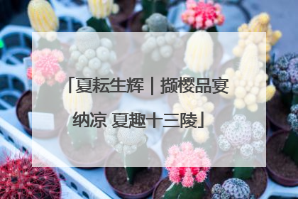 夏耘生辉｜撷樱品宴纳凉 夏趣十三陵