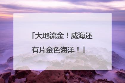 大地流金！威海还有片金色海洋！