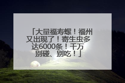 大量福寿螺！福州又出现了！寄生虫多达6000条！千万别碰、别吃！