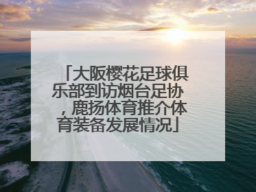 大阪樱花足球俱乐部到访烟台足协，鹿扬体育推介体育装备发展情况