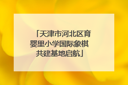 天津市河北区育婴里小学国际象棋共建基地启航